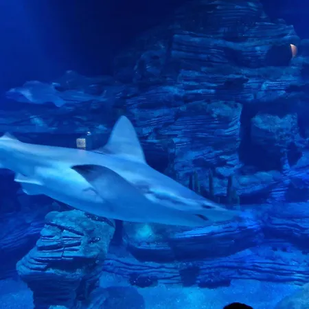 Espana - Punta Prima Orihuela Costa - Large For 6-people 85m2 And Terrace 40m2 Air Conditioning Wi-fi Living Kitchen 2 Bedrooms 2 Bathrooms 3 Swimming Pools Parking Security To The Sea 200m Only 40 Min To The Airport