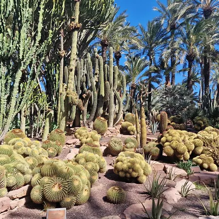 Lejlighed Espana - Punta Prima Orihuela Costa - Large For 6-people 85m2 And Terrace 40m2 Air Conditioning Wi-fi Living Kitchen 2 Bedrooms 2 Bathrooms 3 Swimming Pools Parking Security To The Sea 200m Only 40 Min To The Airport Torrevieja